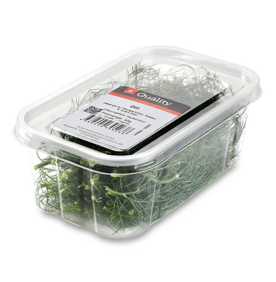 Dill frisch 40g