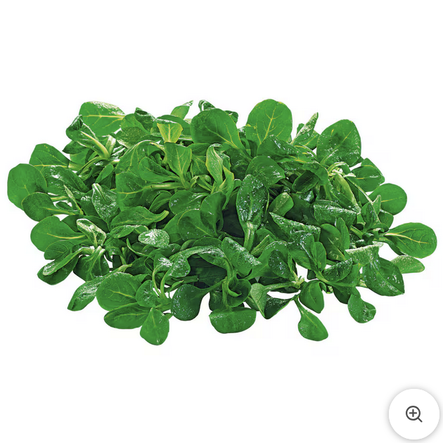 Feldsalat 150g