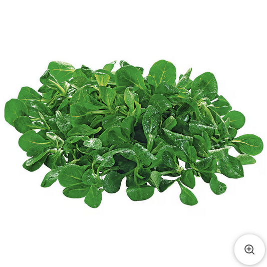 Feldsalat 150g