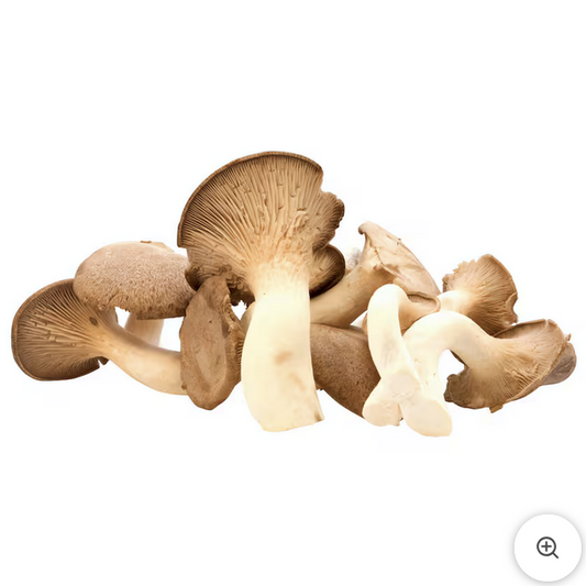 Kräuterseitlinge 125g