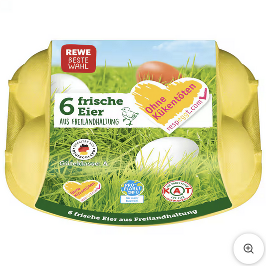 REWE Beste Wahl Eier Freilandhaltung 6 Stück