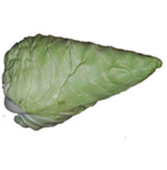 Spitzkohl