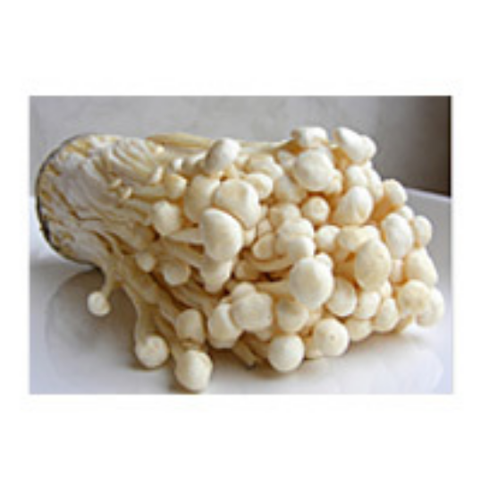 Enoki frisch 100g