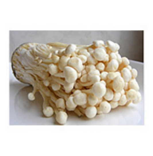 Enoki frisch 100g