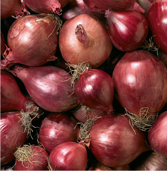 Haushaltszwiebeln rot 1kg