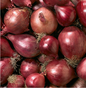 Haushaltszwiebeln rot 1kg