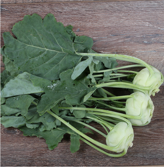 Kohlrabi