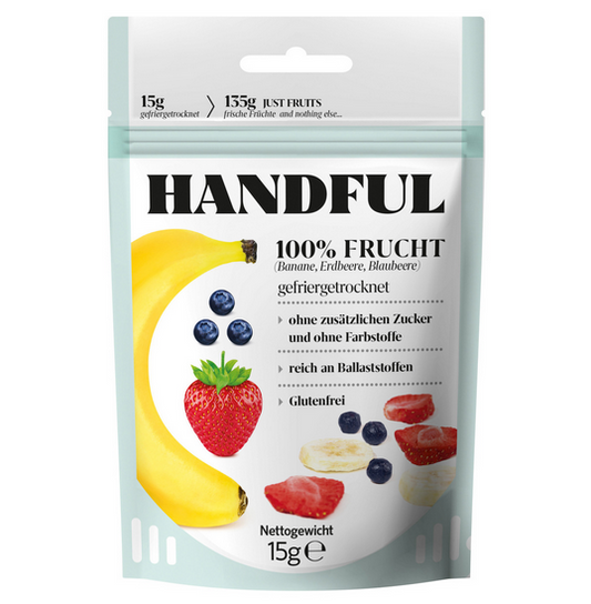 Fruchtmix gefriergetrocknet 15g