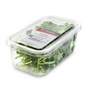 Koriander frisch 40g