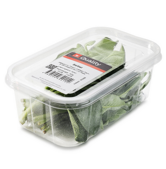 Salbei frisch 40g