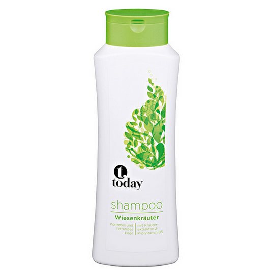 Today Shampoo Frucht und Vitamin 500ml