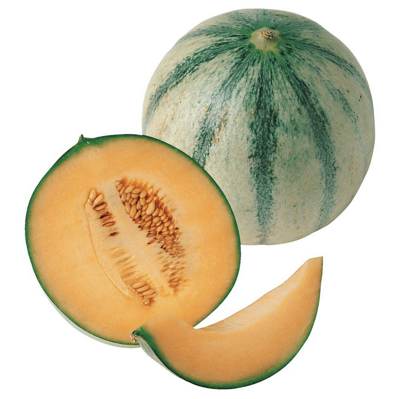 Cantaloupe-Melone