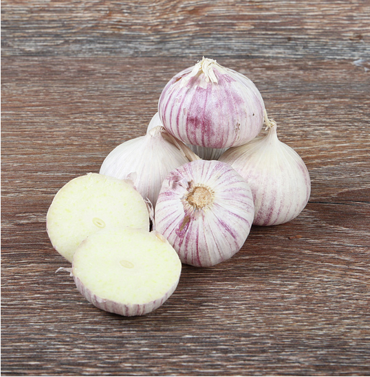 Knoblauch ´Solo´ 250g