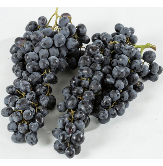 Traube Summer Royal Seedless