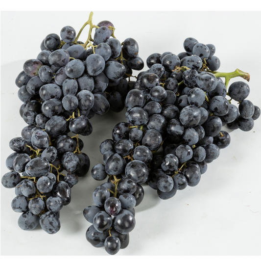 Traube Summer Royal Seedless