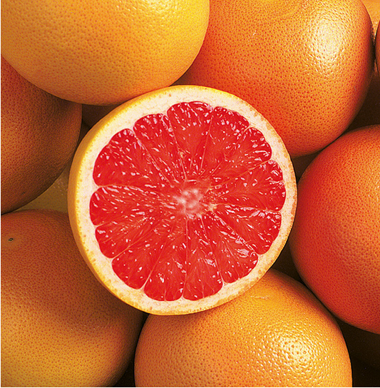 Grapefruit Star Ruby