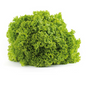 Lollo Bionda frisch