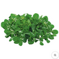 Feldsalat 150g