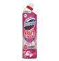 Domestos WC Reiniger